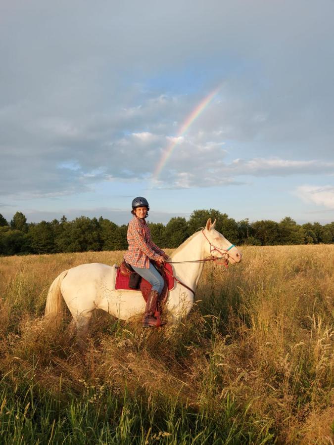 Caloroczne Jurty Mongolskie - "Domy Slonca" Kłodzko Dış mekan fotoğraf